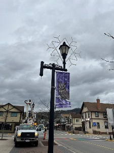 Banner 3 Banner 3