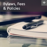 Bylaws icon