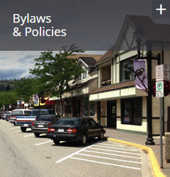 Bylaws &amp; Policies