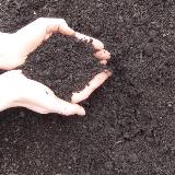 compost