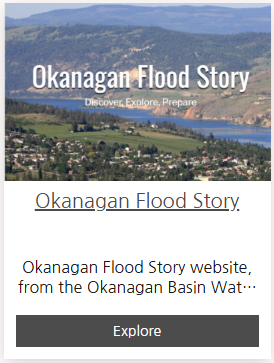 Flood story