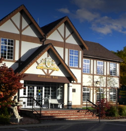 thumb_cityhall_mayorcouncil