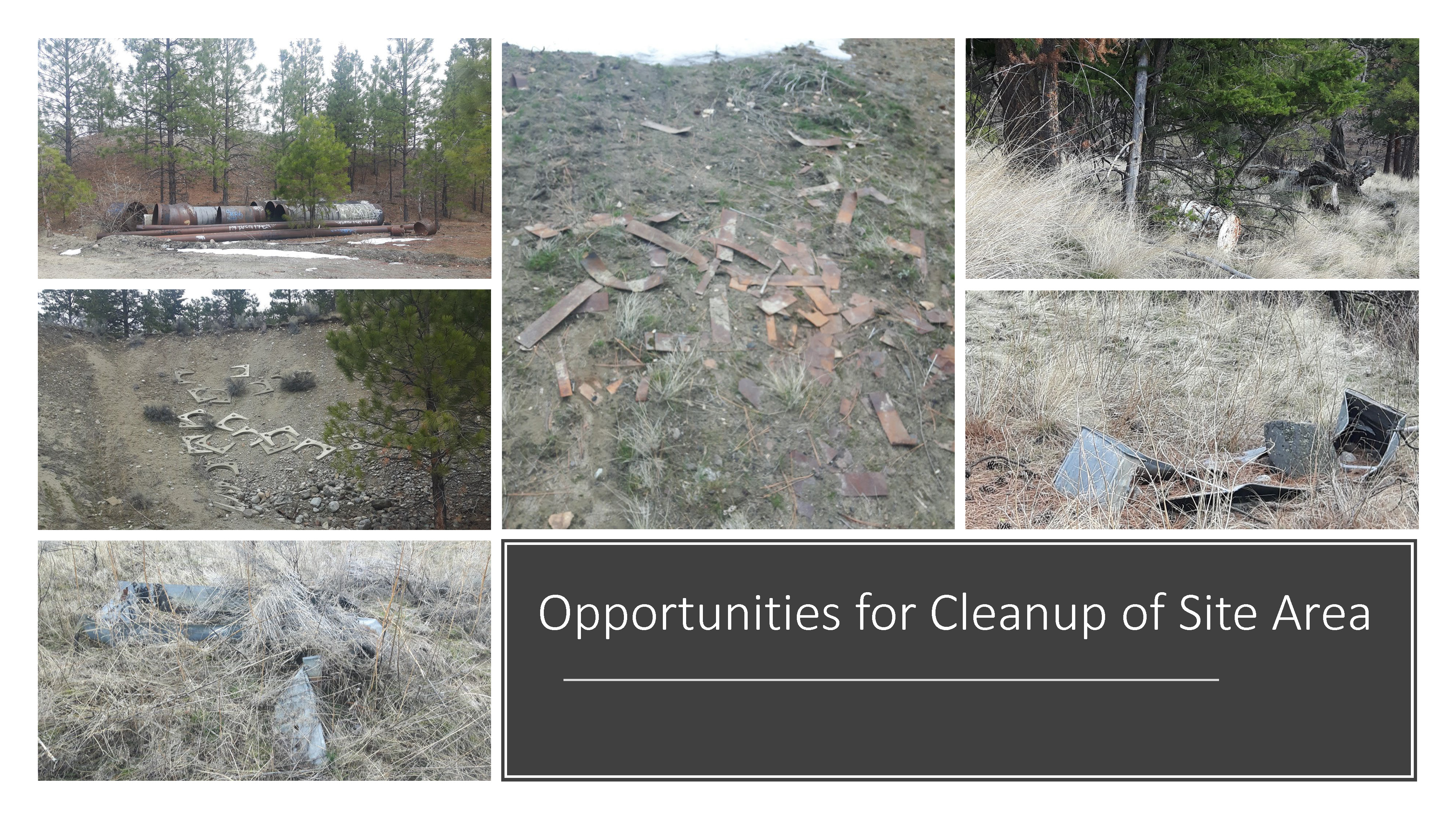 Web Photos (DRAFT)_Page_13