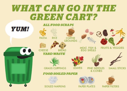 What Can Go In Green Cart