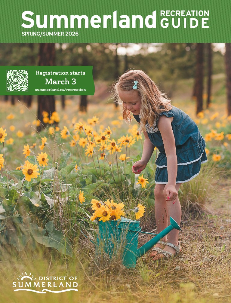 Spring & Summer Cover