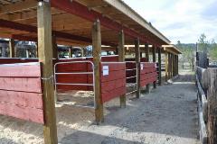 horse pen 2