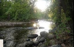 trout creek at rodeo grounds